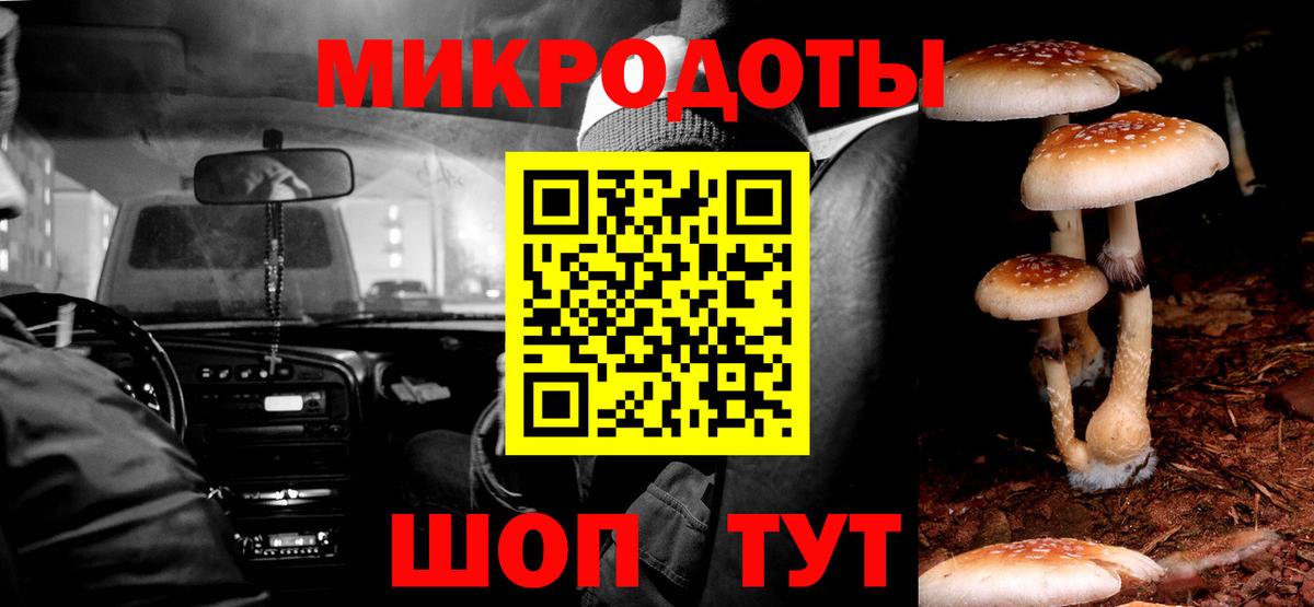 Псилоцибиновые грибы Psilocybe  Вход с VPN  Галлюциногенные грибы Psilocybe  Назрань 