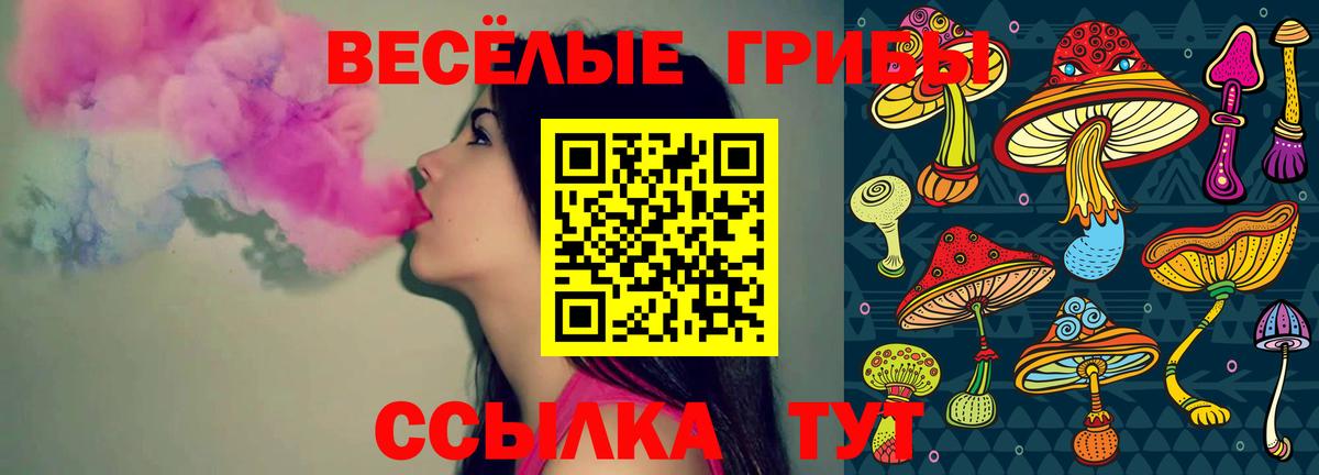 Псилоцибиновые грибы мицелий Назрань